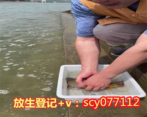 郑州亡人可以放生吗，郑州市场买的财鱼能放生吗，郑州放生为什么要放泥鳅好