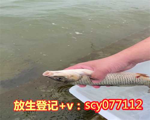 放生积德最好去哪里沧州，沧州哪里有放生红鲤鱼的地方呀【放生1000万条生命