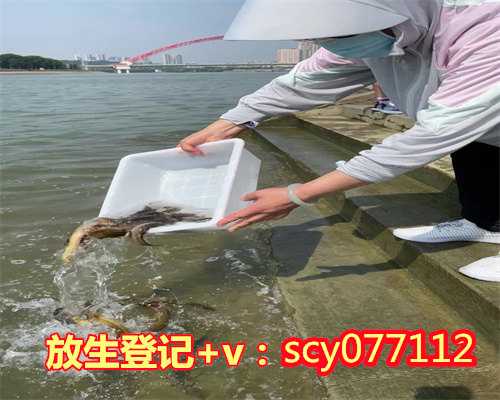 宁夏简单放生鱼仪规，简单放生鱼仪规，杭州最大的放生群