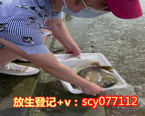 惠州放生大鱼（惠州允许放生的水域）