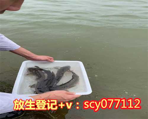 杭州哪里允许放生鱼的