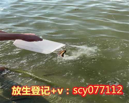 天津哪里可以放生鱼类的地方啊，2015年8月14日延极法师在天津海河举办放生法