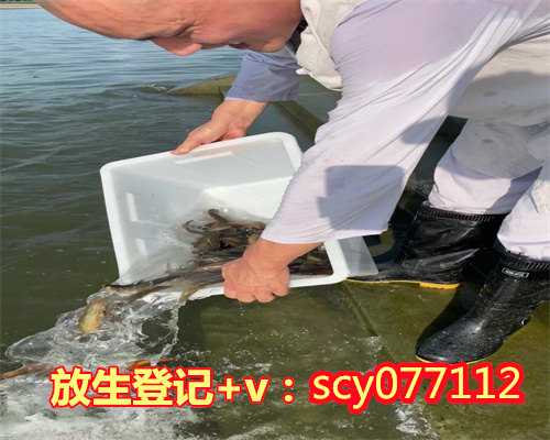 台州可以为过世的人放生吗，台州放生泥鳅一般放几条好，台州放生乌龟是什么