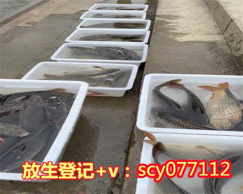 江苏放生团护生园，江苏钓上来的鱼再放生能活吗，江苏广州适合放生乌龟的地
