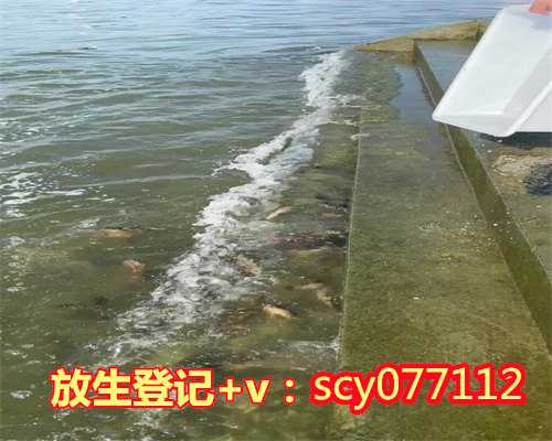 上海哪个湖可以放生鱼苗，上海报国寺举行水陆胜会之上堂大斋、放生法会